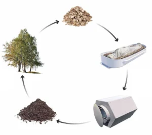 Asociación Enterramiento Natural